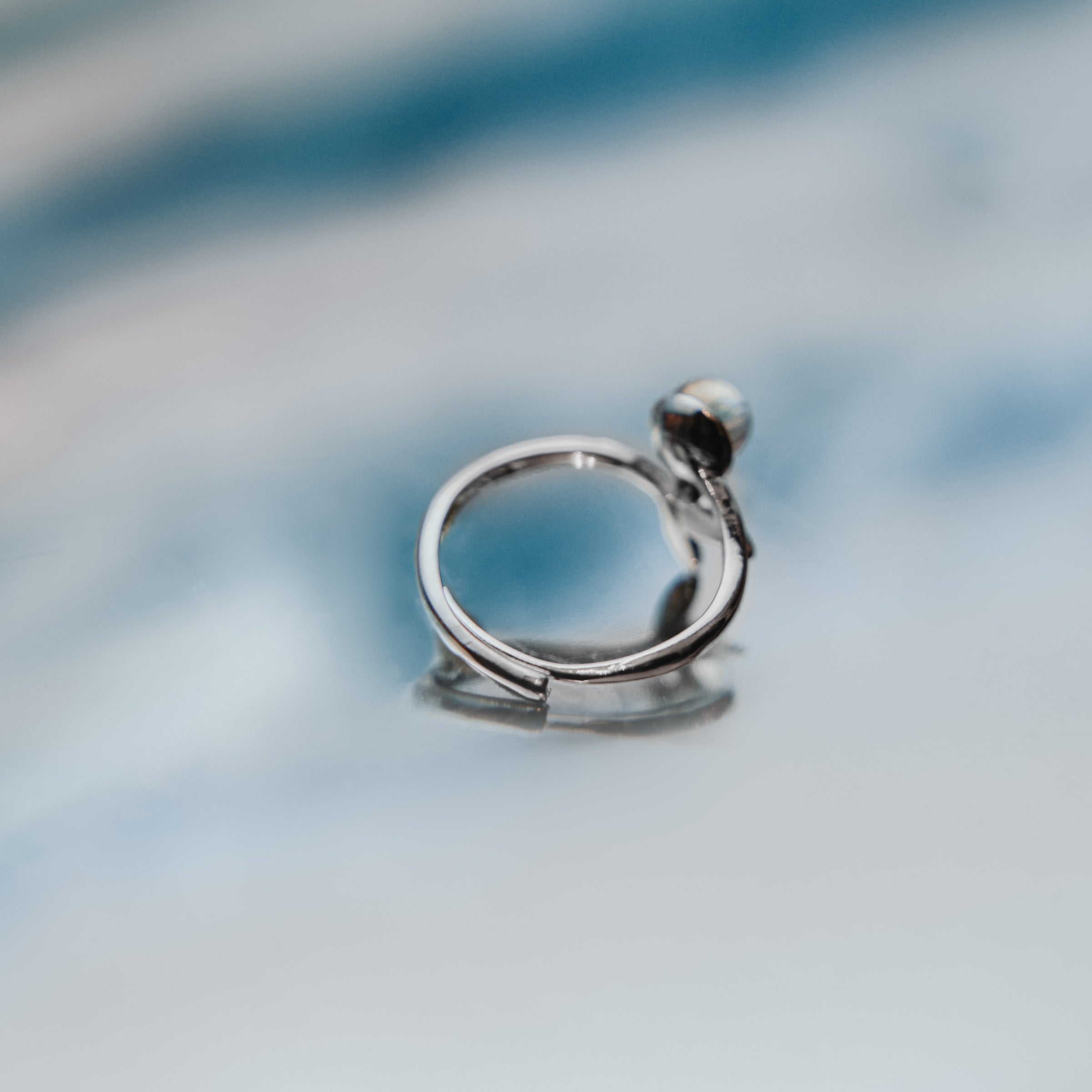 海豚環遊世界水晶戒指 Dolphin Crystal Ring